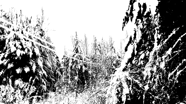 monochrome reality II bw posterized